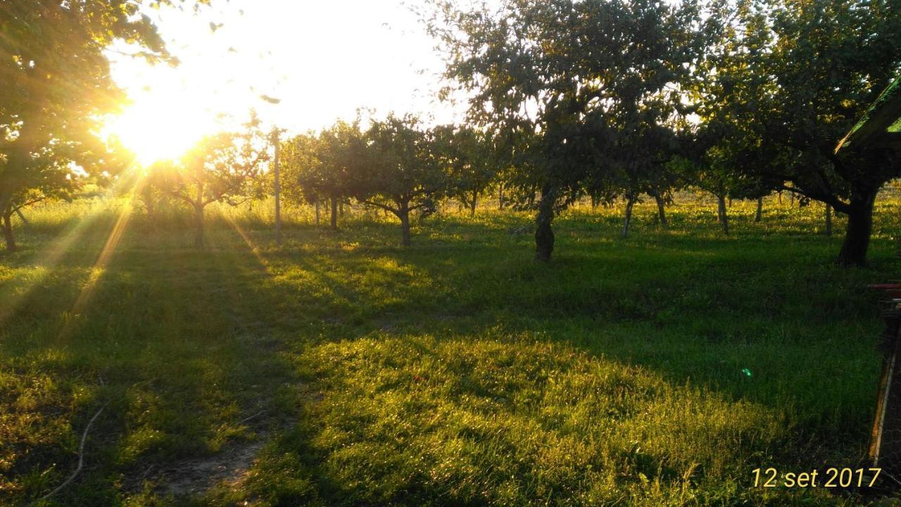 Agriturismo Taglio Del Re Villa Jesolo Exterior foto